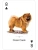 картинка Карты "Dogs of the Natural World Playing Cards" магазин Gamesdealer.ru являющийся официальным дистрибьютором в России картинка Карты "Dogs of the Natural World Playing Cards" от магазина Gamesdealer.ru