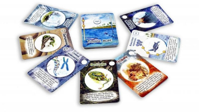 картинка Терраформер. Теплое море (дополнение)	 от магазина Gamesdealer.ru