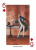 картинка Карты "Stars of Magic Black Edition Playing Cards" магазин Gamesdealer.ru являющийся официальным дистрибьютором в России картинка Карты "Stars of Magic Black Edition Playing Cards" от магазина Gamesdealer.ru