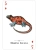 картинка Карты "Reptiles & Amphibians of the Natural World Playing Cards" магазин Gamesdealer.ru являющийся официальным дистрибьютором в России картинка Карты "Reptiles & Amphibians of the Natural World Playing Cards" от магазина Gamesdealer.ru