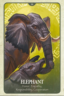 картинка Карты Таро "The Secret Language of Animals" Blue Angel / Тайный язык животных от магазина Gamesdealer.ru