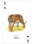 картинка Карты "Endangered Species of the Natural World Playing Cards" магазин Gamesdealer.ru являющийся официальным дистрибьютором в России картинка Карты "Endangered Species of the Natural World Playing Cards" от магазина Gamesdealer.ru