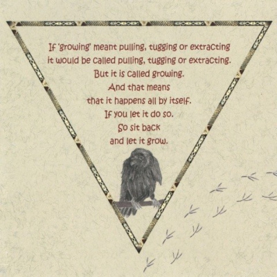 картинка Карты Таро "Raven Cards" AGM Urania / Карты Ворона от магазина Gamesdealer.ru