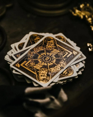 картинка Карты "Theory11 Piracy" от магазина Gamesdealer.ru