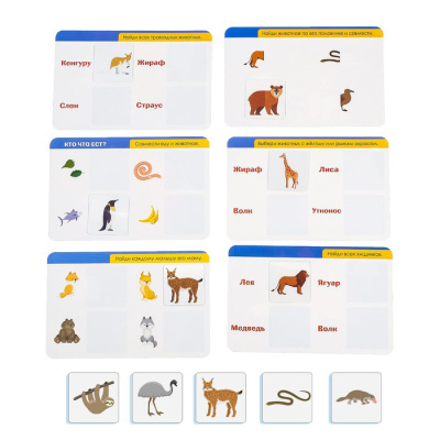 картинка Настольная игра "Веселая география"   4606206 от магазина Gamesdealer.ru