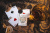 картинка Карты "Ellusionist Legacy Master Red" магазин Gamesdealer.ru являющийся официальным дистрибьютором в России картинка Карты "Ellusionist Legacy Master Red" от магазина Gamesdealer.ru