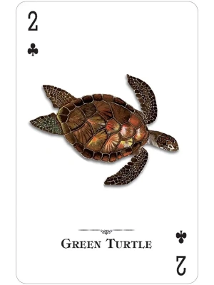 картинка Карты "Reptiles & Amphibians of the Natural World Playing Cards" от магазина Gamesdealer.ru