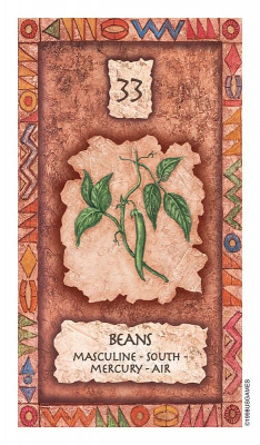 картинка Карты Таро "Shaman Wisdom Cards" US Games / Таро Мудрости Шамана от магазина Gamesdealer.ru