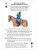 картинка Карты "Buffalo Soldiers Playing Cards" магазин Gamesdealer.ru являющийся официальным дистрибьютором в России картинка Карты "Buffalo Soldiers Playing Cards" от магазина Gamesdealer.ru