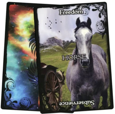 картинка Карты Таро "Animal Guidance & Aspects Oracle Cards" Solarus /  Руководство по Животным и Аспекты Кар от магазина Gamesdealer.ru