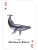 картинка Карты "Endangered Species of the Natural World Playing Cards" магазин Gamesdealer.ru являющийся официальным дистрибьютором в России картинка Карты "Endangered Species of the Natural World Playing Cards" от магазина Gamesdealer.ru
