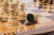 картинка Шахматы Турнирные-3 инкрустация 50, AZ111, Zeynalyan магазин Gamesdealer.ru являющийся официальным дистрибьютором в России картинка Шахматы Турнирные-3 инкрустация 50, AZ111, Zeynalyan от магазина Gamesdealer.ru