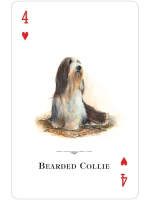 картинка Карты "Dogs of the Natural World Playing Cards" от магазина Gamesdealer.ru