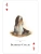 картинка Карты "Dogs of the Natural World Playing Cards" магазин Gamesdealer.ru являющийся официальным дистрибьютором в России картинка Карты "Dogs of the Natural World Playing Cards" от магазина Gamesdealer.ru