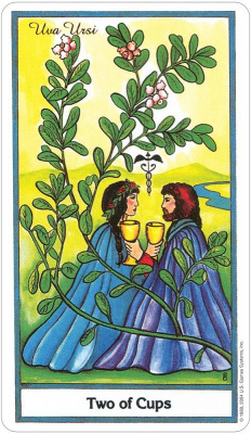 картинка Карты Таро "Herbal Tarot Deck" US Games / Травяная Колода Таро от магазина Gamesdealer.ru