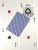 картинка Карты "Bee Gold Gravity Standard Index Red / Blue" от магазина Gamesdealer.ru