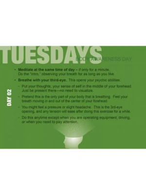 картинка Карты Таро "Build Your Psychic Skills - The 90 day Plan Book" Schiffer Publishing / Развивайте свои  от магазина Gamesdealer.ru