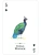 картинка Карты "Endangered Species of the Natural World Playing Cards" магазин Gamesdealer.ru являющийся официальным дистрибьютором в России картинка Карты "Endangered Species of the Natural World Playing Cards" от магазина Gamesdealer.ru