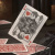 картинка Карты "Theory11 Harry Potter Deck - Red (Gryffindor)" от магазина Gamesdealer.ru
