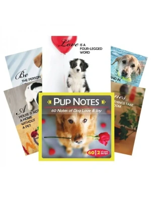 картинка Карты Таро "Pup Notes - 60 Notes of Dog Love and Joy" US Games / Записки щенка - 60 карт Собачьей Лю от магазина Gamesdealer.ru