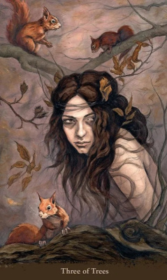 картинка Карты Таро "With Sister Tarot Cards" Llewellyn / Карты Таро Сестры-Ведьмы от магазина Gamesdealer.ru