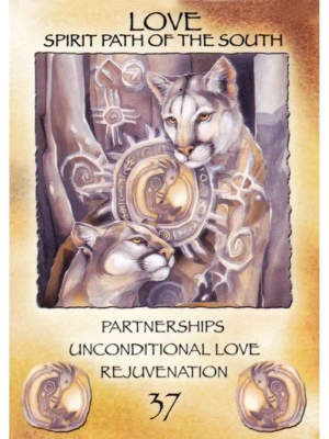 картинка Карты Таро "Spirit of the Wheel Deck" US Games / Дух Колеса от магазина Gamesdealer.ru