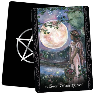 картинка Карты Таро "The Solitary Witch Oracle Cards" Blue Angel / Карты Одинокой Ведьмы-Оракула от магазина Gamesdealer.ru