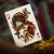 картинка Карты "Theory 11 Moooi Extinct Animals - Limited Edition" магазин Gamesdealer.ru являющийся официальным дистрибьютором в России картинка Карты "Theory 11 Moooi Extinct Animals - Limited Edition" от магазина Gamesdealer.ru