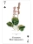 картинка Карты "Wildflowers of the Natural World Playing Cards" магазин Gamesdealer.ru являющийся официальным дистрибьютором в России картинка Карты "Wildflowers of the Natural World Playing Cards" от магазина Gamesdealer.ru
