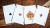 картинка Карты "Ellusionist Ignite" от магазина Gamesdealer.ru