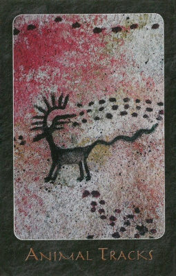 картинка Карты Таро "Shaman Oracle" AGM Urania / Оракул Шамана от магазина Gamesdealer.ru