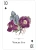 картинка Карты "Wildflowers of the Natural World Playing Cards" магазин Gamesdealer.ru являющийся официальным дистрибьютором в России картинка Карты "Wildflowers of the Natural World Playing Cards" от магазина Gamesdealer.ru