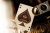 картинка Карты "Theory11 James Bond Playing Cards 007" от магазина Gamesdealer.ru