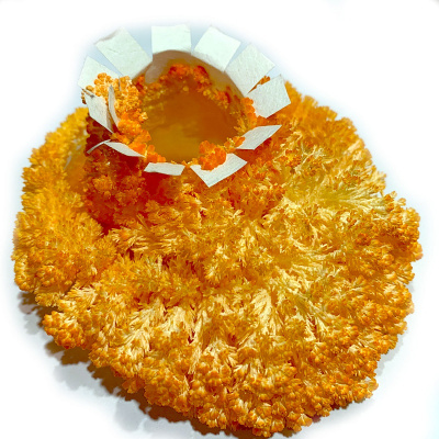 картинка СуперПрофессор "Кристаллические монстры" от магазина Gamesdealer.ru