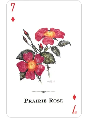 картинка Карты "Wildflowers of the Natural World Playing Cards" от магазина Gamesdealer.ru