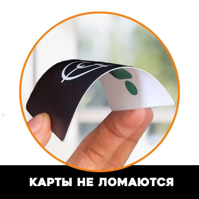 картинка Игра Мафия "Full Edition" (карты 100% пластик, 42 шт) от магазина Gamesdealer.ru